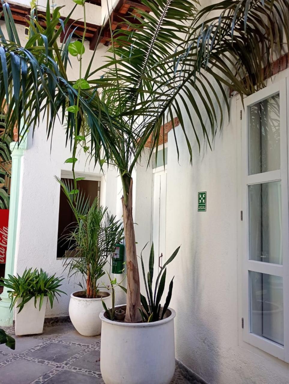 Casa Verde Hotel Santa Marta  Zewnętrze zdjęcie