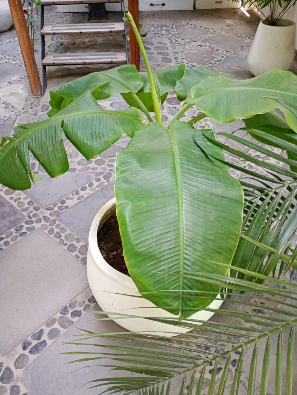 Casa Verde Hotel Santa Marta  Zewnętrze zdjęcie
