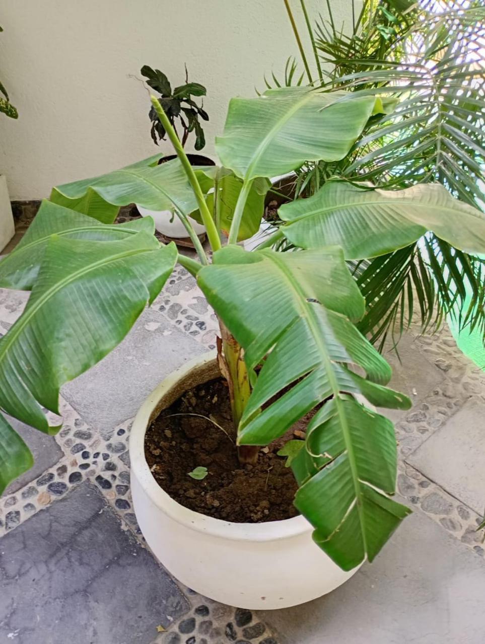 Casa Verde Hotel Santa Marta  Zewnętrze zdjęcie